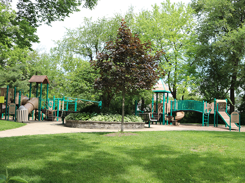 Lions Park Picture