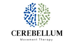 Cerebellum