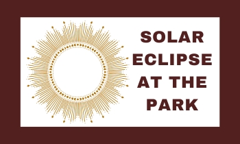Solar Eclipse at the Park