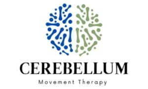 Cerebellum